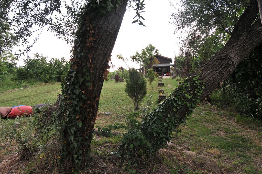 Agva Nehir Perisi Hotel Goce Zimmer foto